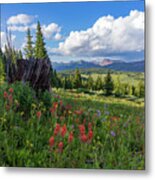 Shrine Ridge Alpine Wildflowers Surround A Dead Tree Stump Metal Print