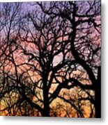 Silhouettes At Sunset Metal Print