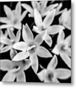 Silver Bells Metal Print