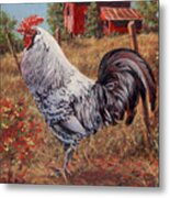 Silver Laced Rock Rooster Metal Print