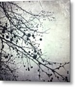 Silver Sky Metal Print