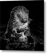 Simply Otter Metal Print