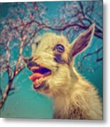 Sing It Again Metal Print