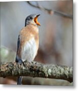 Singing This Song For You Metal Print