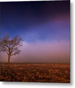 Single Tree In The Mississippi Delta Metal Print