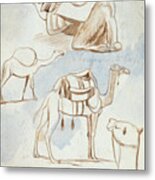 Sketch Studies Of Camels Metal Print