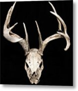 Skull And Rack Metal Print