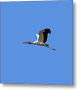 Sky Stork Digital Art .png Metal Print