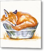 Sleeping Fox Metal Print