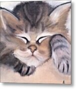 Sleepy Kitten Metal Print