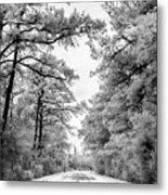 Slippery When Frozen Metal Print