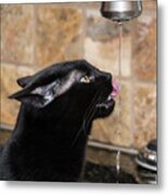 Slurp Metal Print