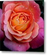 Smell The Rose Metal Print