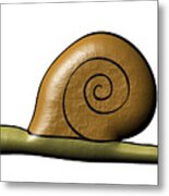 Snail Metal Print