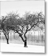 Snow Along The Schuylkill River Metal Print