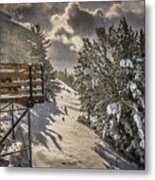 Snow Metal Print