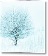 Snow Field Tree Metal Print