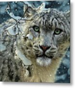 Snow Leopard Metal Print