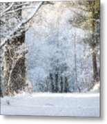 Snow On The Chase Metal Print
