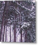 Snow Storm On Pines Metal Print