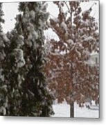 Snow Trees Metal Print