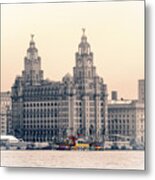 Snowdrop Dazzles In Front Of The Liverbirds Metal Print