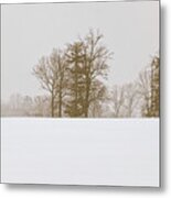 Snowfall - Metal Print