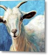 Snowflake, A Baby Cashmere Goat Metal Print