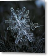 Snowflake Of January 18 2013 Metal Print