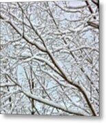 Snowy Branches Metal Print