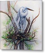 Snowy Egret On Nest Metal Print