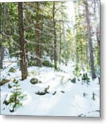 Snowy Forest Wilderness Playground Metal Print