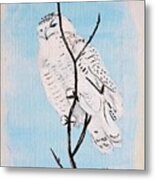 Snowy Owl Painted By Phyllis Metal Print