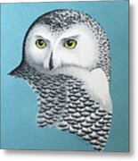 Snowy Owl Portrait 3 Metal Print