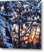 Snowy Tree Sunset Metal Print