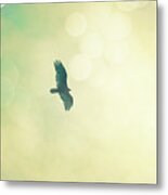 Soar Metal Print