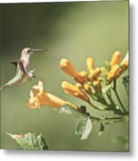 Soft Landing Metal Print