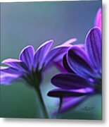 Soft Touch Metal Print