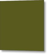 Solid Army Green Metal Print