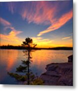 Solitary Spruce At Sundown Metal Print