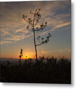 Solitude At Solidad Metal Print