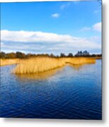 Somerset Levels Metal Print