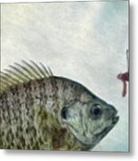 Something Fishy Metal Print