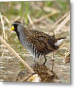 Sora Rail Metal Print