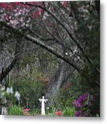 South Carolina Plantation Metal Print