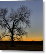 South Dakota Lone Tree Sunset Metal Print