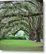 Southern Grace Metal Print