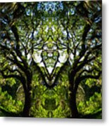 Spanish Moss Metal Print