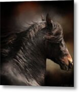 Spanish Stallion Metal Print