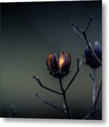 Spark Of Hope Metal Print